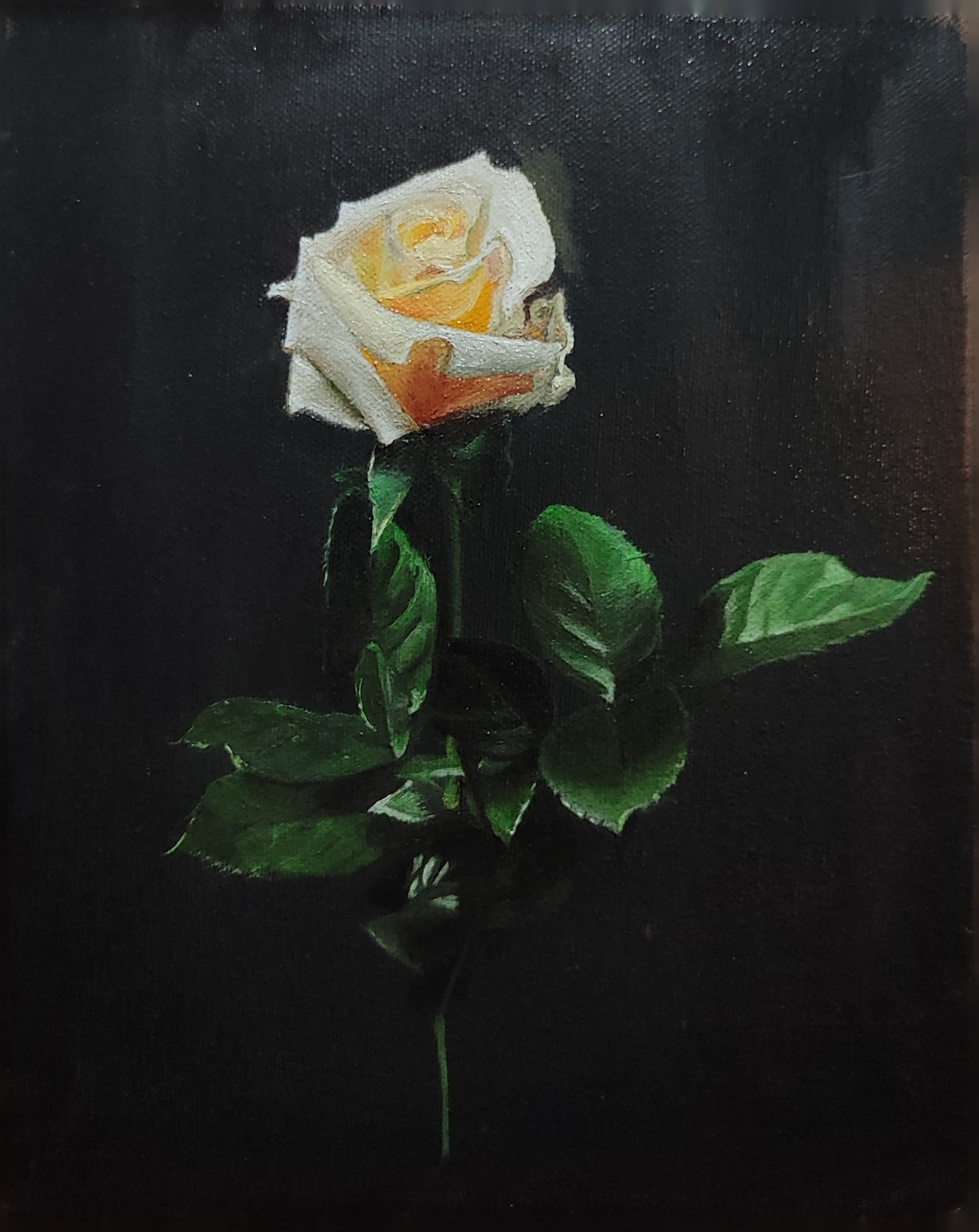 Flor Francesa by Rolando Del Carmen