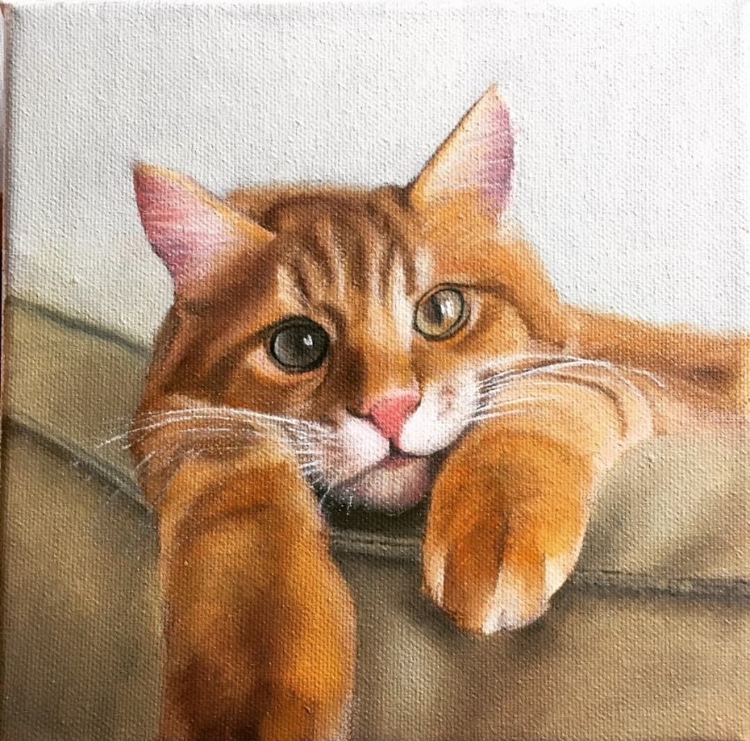 Gatito by Rolando Del Carmen